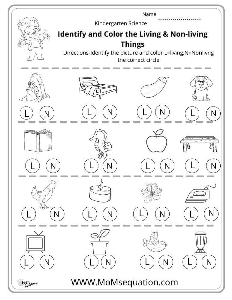 21 Printable Worksheets For Kindergarten Science