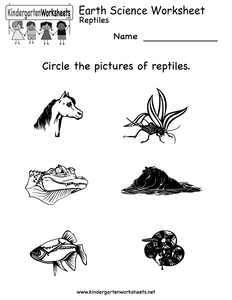 21 Printable Worksheets For Kindergarten Science