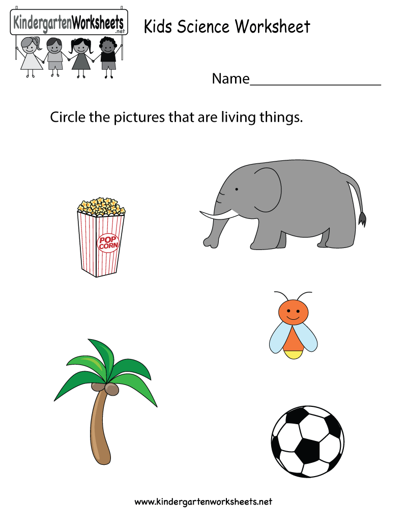 21 Printable Worksheets For Kindergarten Science