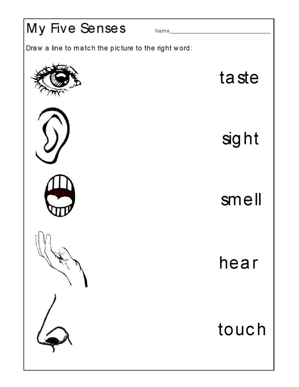 21 Printable Worksheets For Kindergarten Science