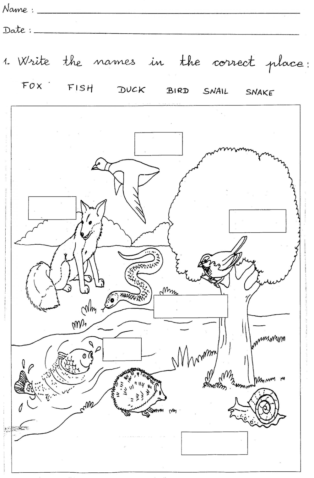 21 Printable Worksheets For Kindergarten Science
