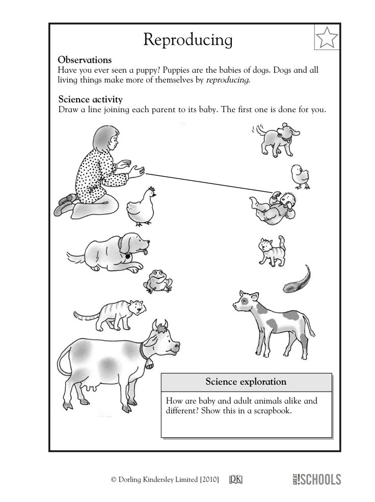 21 Printable Worksheets For Kindergarten Science