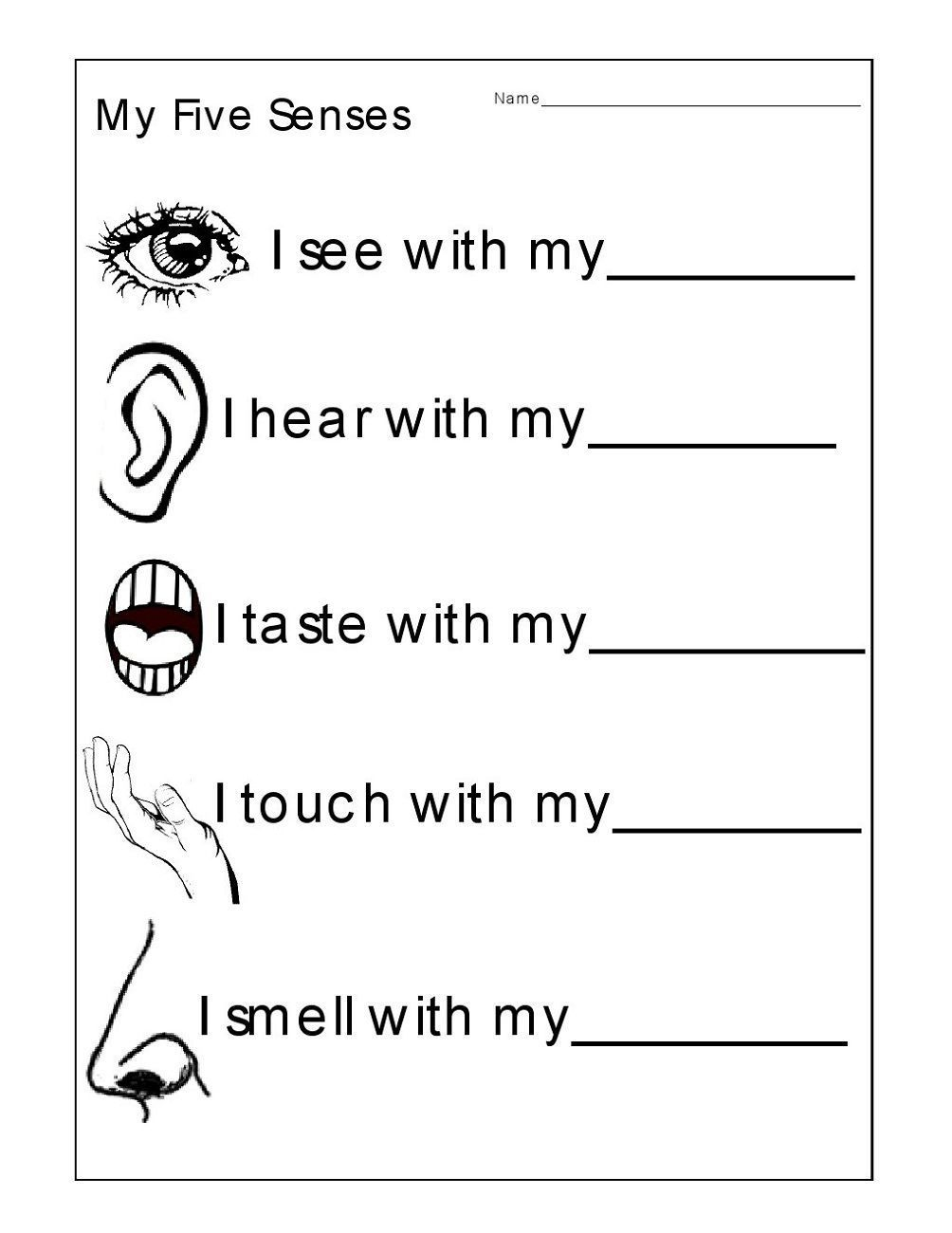 21 Printable Worksheets For Kindergarten Science