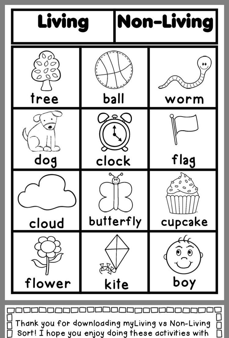 21 Printable Worksheets For Kindergarten Science