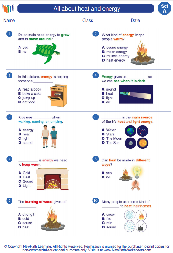 21 Science Worksheets For 1St Grade