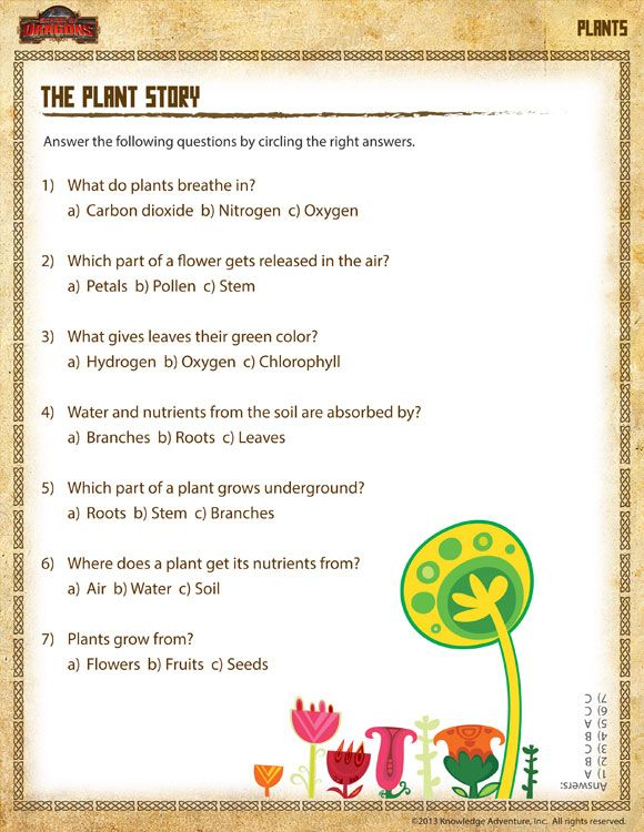 21 Science Worksheets For 1St Grade