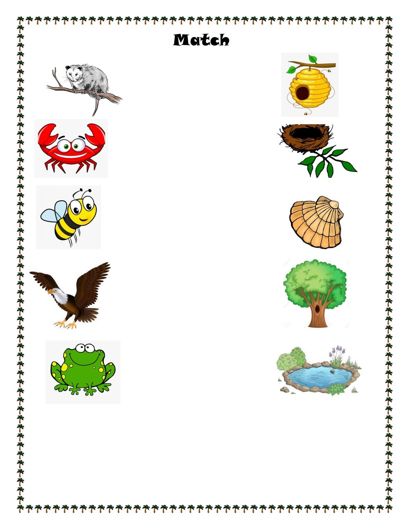 21 Science Worksheets For 1St Grade