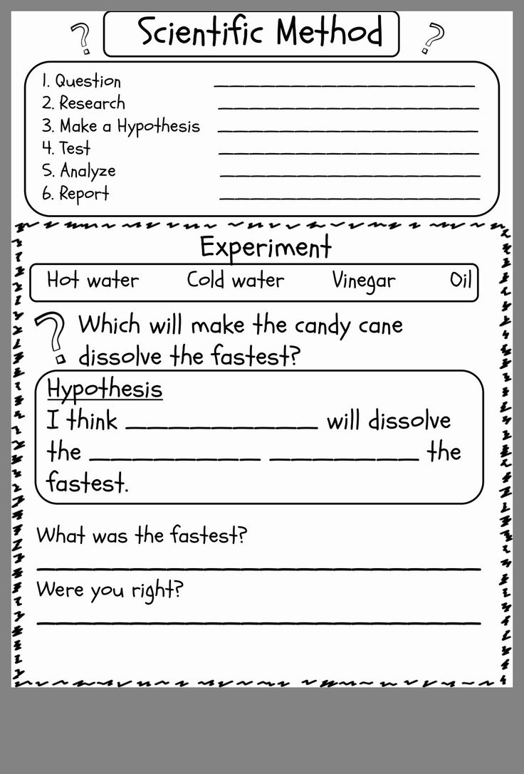 21 Science Worksheets For 1St Grade