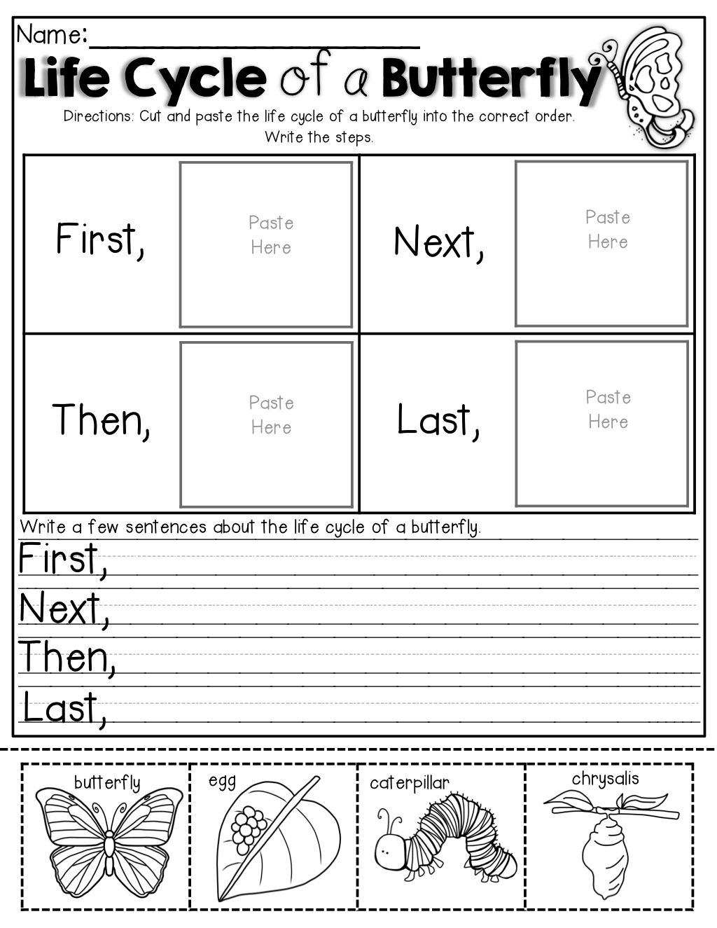 21 Science Worksheets For 1St Grade