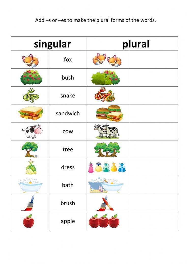 21 Singular And Plural Nouns Worksheets For Kindergarten