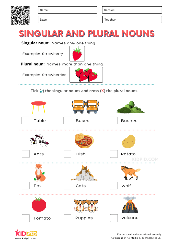 21 Singular And Plural Nouns Worksheets For Kindergarten