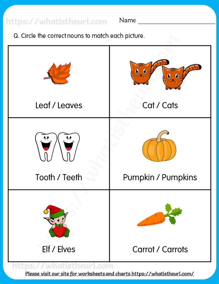 21 Singular And Plural Nouns Worksheets For Kindergarten